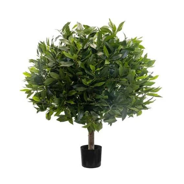 Plant Bay Tree Ball - 